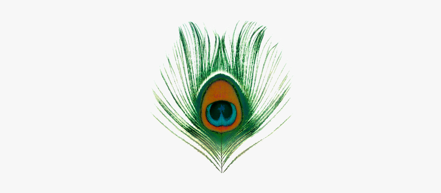 Krishna Transparent Peacock Feather Png, Transparent Clipart