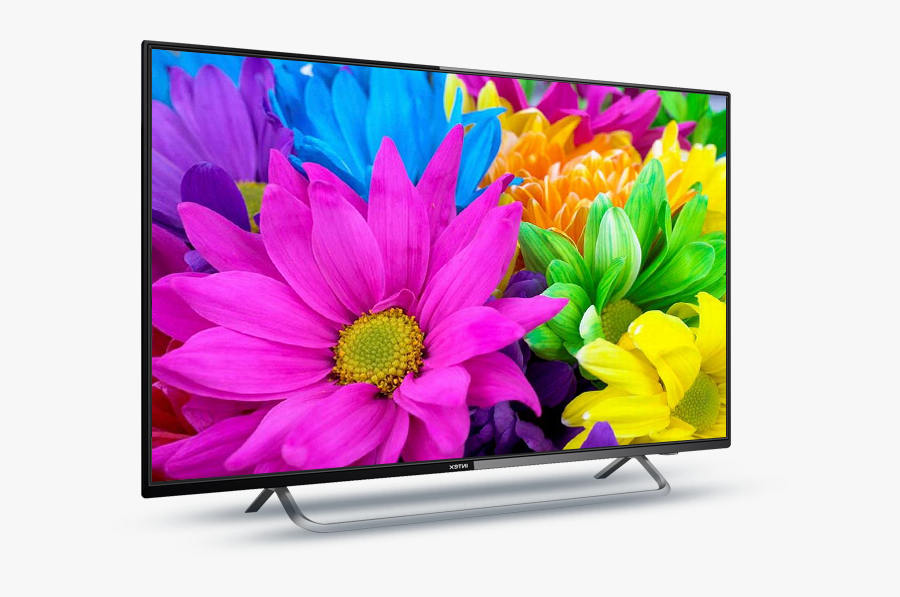 Different Colors Of Flower, Transparent Clipart