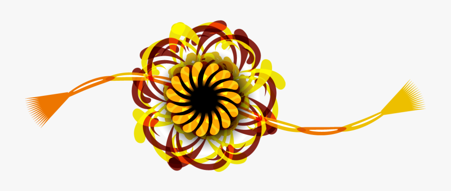 Black-eyed Susan, Transparent Clipart