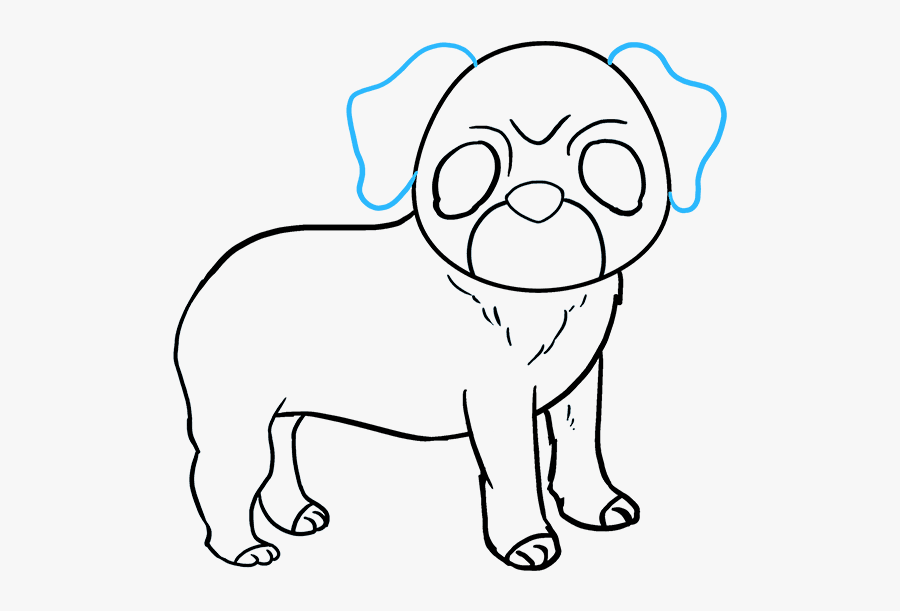 Clip Art Pug Face Drawing - Draw A Pug, Transparent Clipart