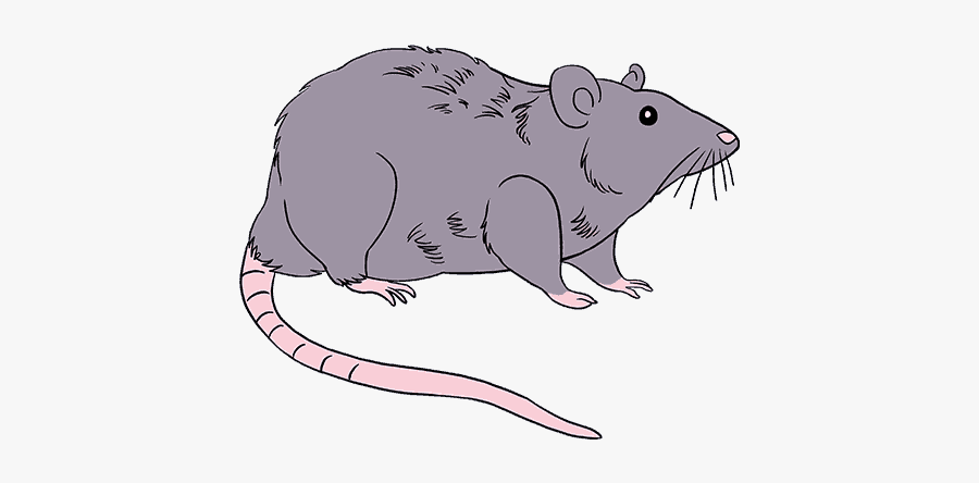 Clip Art Mouse Standing On Hind Legs - Systeme De Recompense Souris Experience, Transparent Clipart