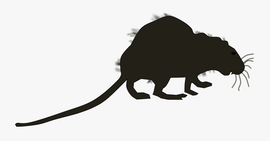 Transparent City Street Clipart - Marsupial, Transparent Clipart