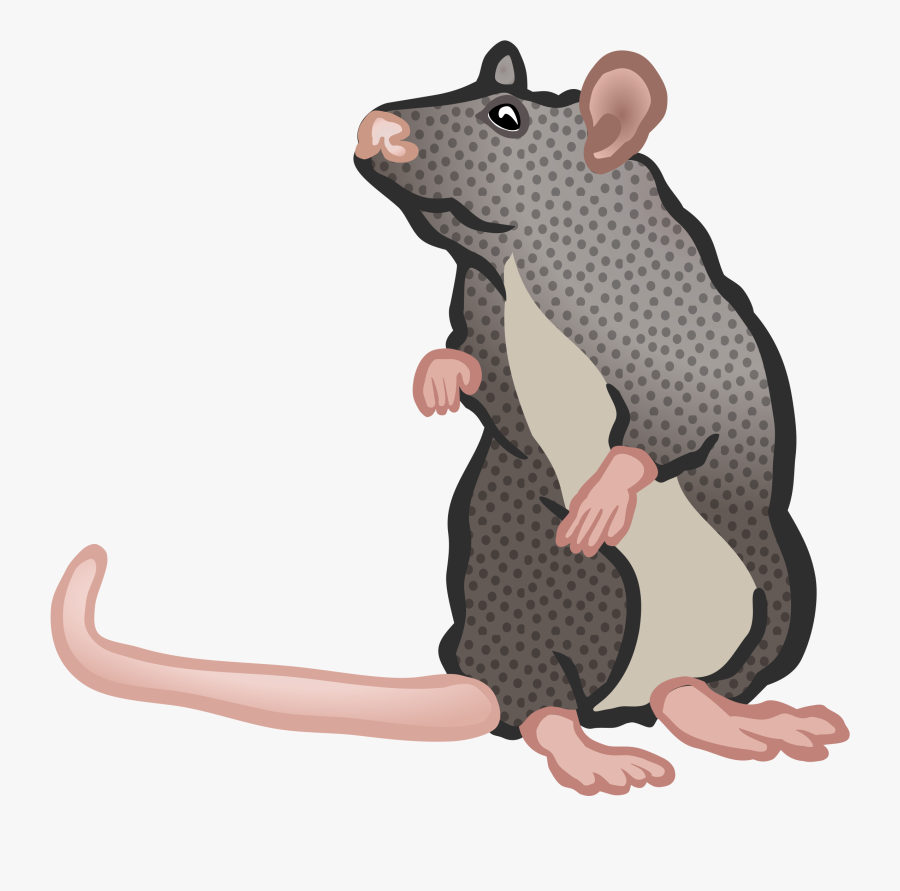 Two Coloured Big Image - Cartoon Ratte Clipart, Transparent Clipart