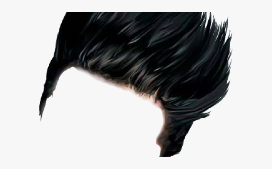 Dark Hair Clipart Stylish Boy - Transparent Hair Style Boys Png, Transparent Clipart
