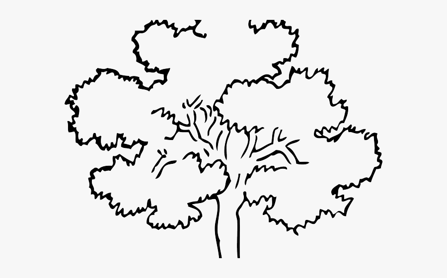 Outline Pictures Of Tree, Transparent Clipart