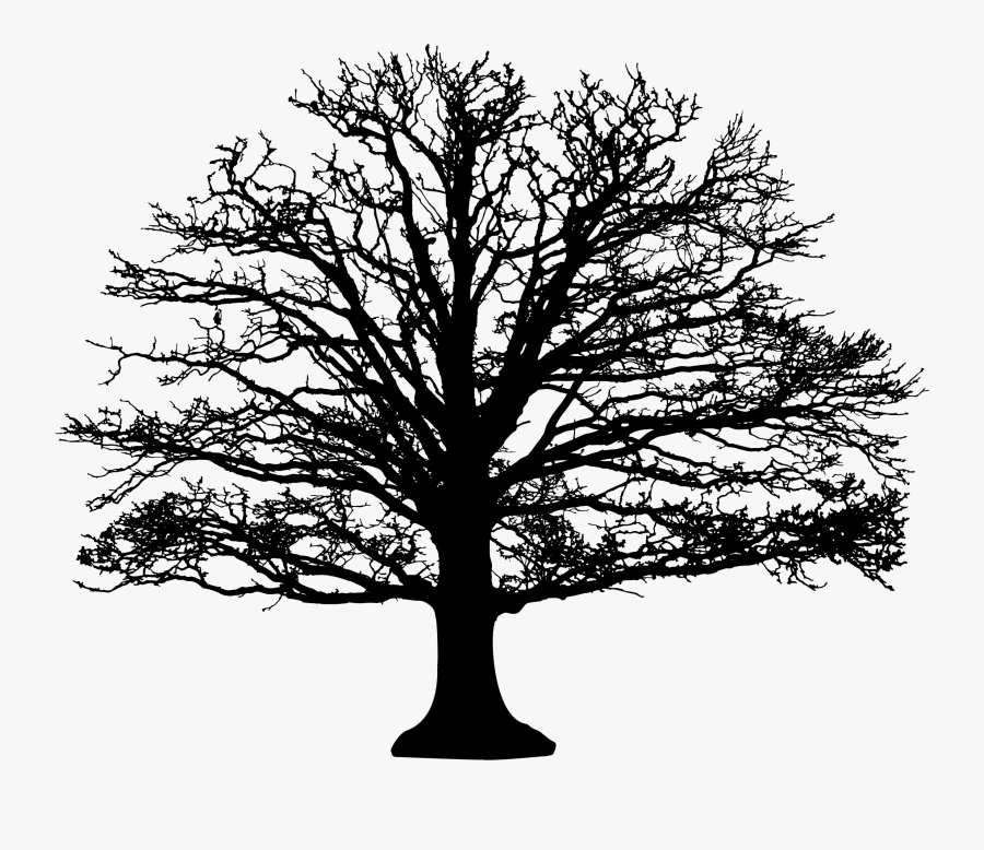 Leafless Tree Silhouette Clip Arts - Silhouette Of A Leafless Tree, Transparent Clipart