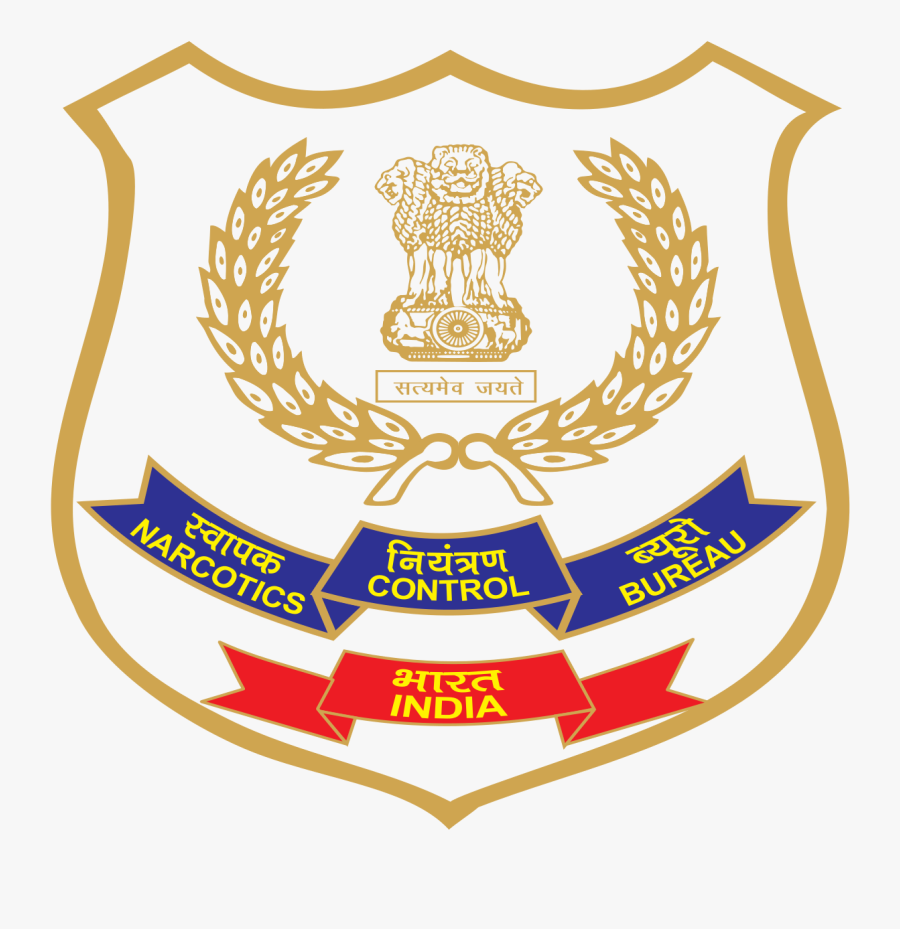 Govt Moves To Clamp Down On Sale, Distribution Of Painkiller - Narcotics Control Bureau Recruitment 2019, Transparent Clipart