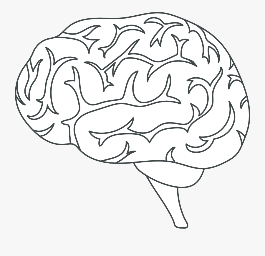 Transparent White Brain Icon, Transparent Clipart