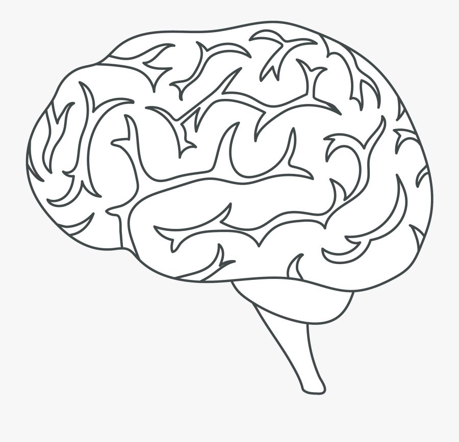 Transparent White Brain Icon , Free Transparent Clipart ClipartKey