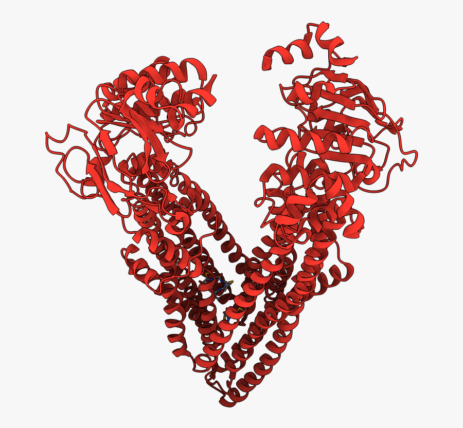 Illustration, Transparent Clipart