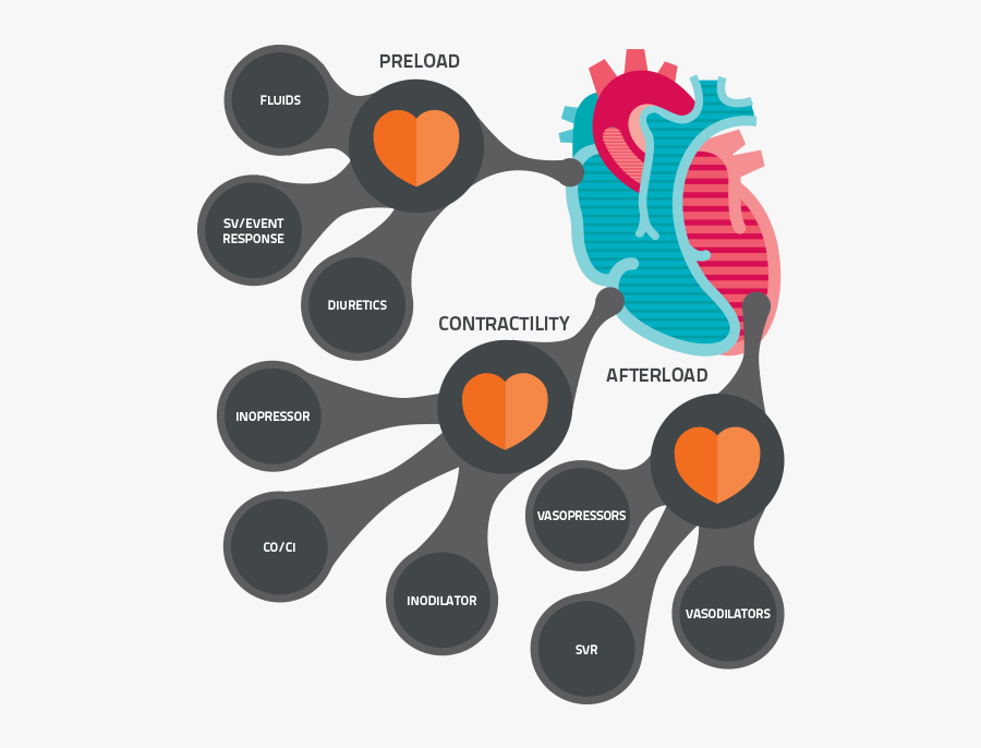 Clip Art, Transparent Clipart