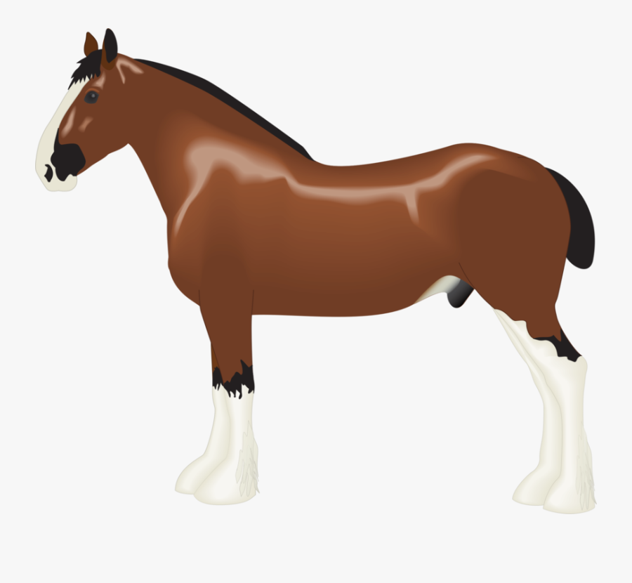 Clip Art Draft Horse Clipart - Draft Horse Png, Transparent Clipart