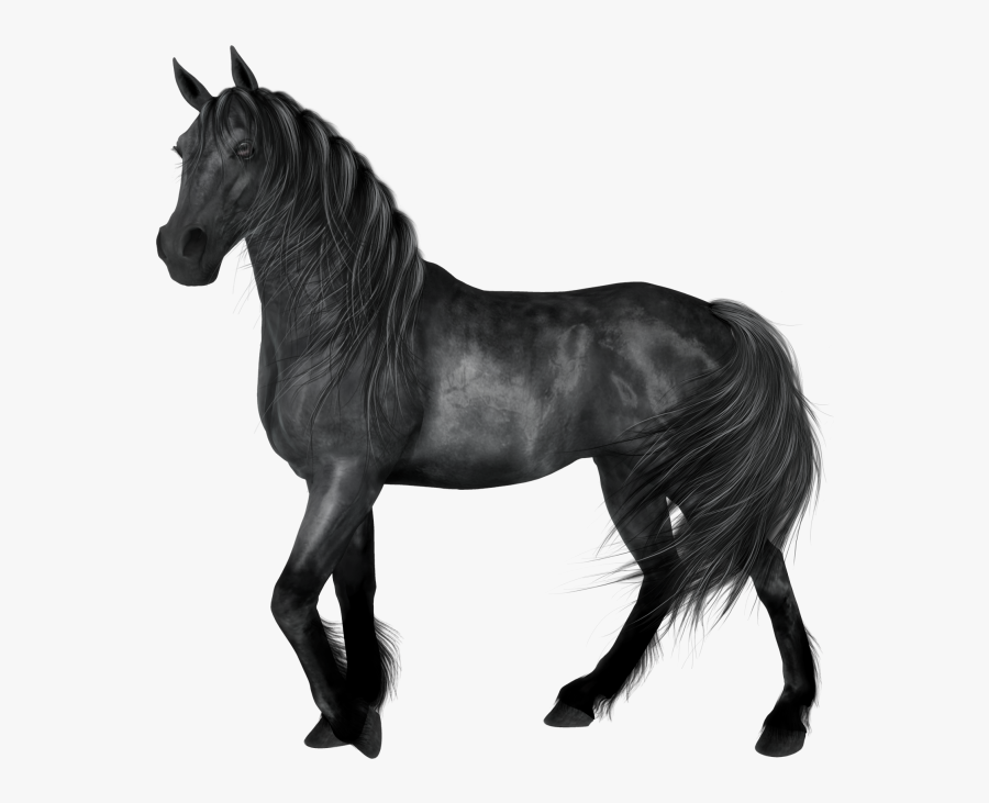 Transparent Equestrian Clipart - Black Horse Clip Art, Transparent Clipart