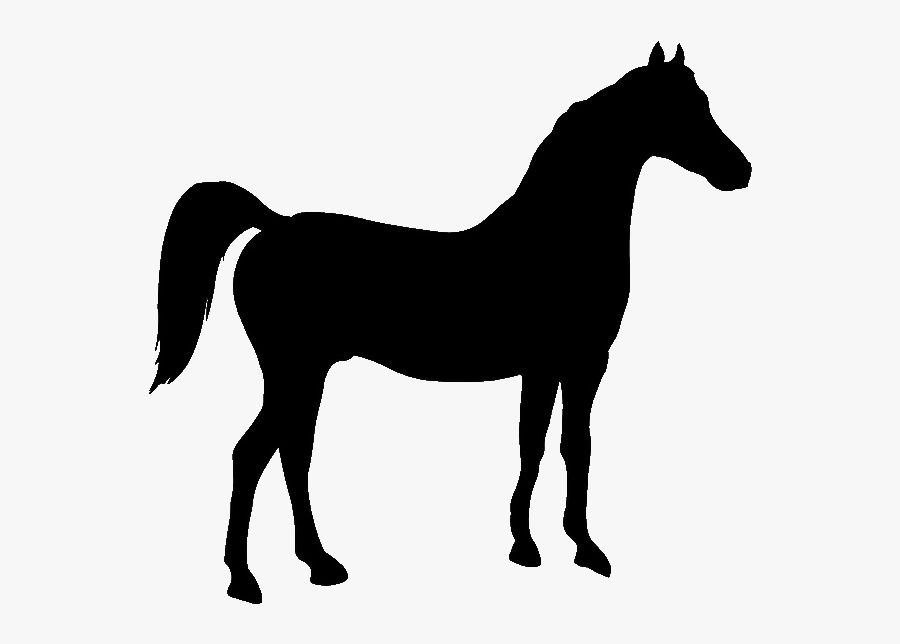 Shadow Of A Horse Clipart , Png Download - Horse Silhouette, Transparent Clipart