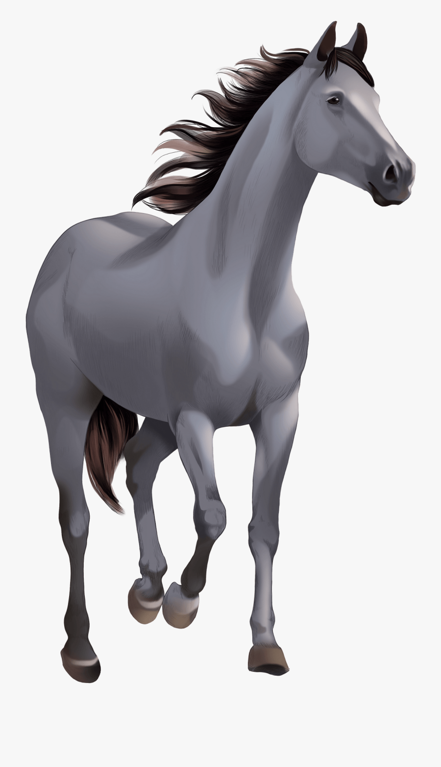 Stallion, Transparent Clipart