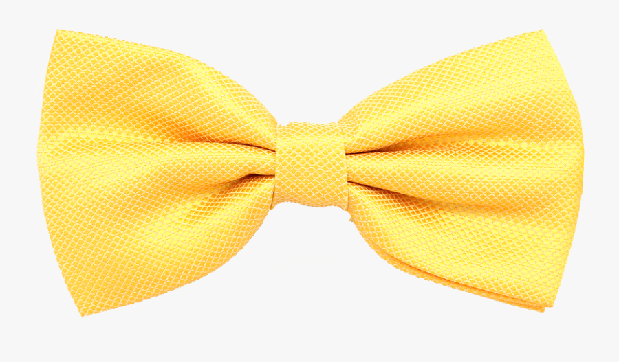 Image Free Photo Booth Asheville Hardwick - Hair Tie, Transparent Clipart