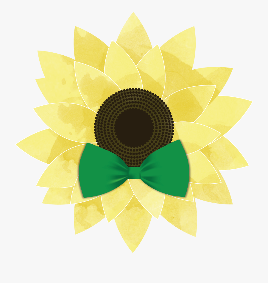 Clipart Rainbow Bow Tie - Sunflower, Transparent Clipart