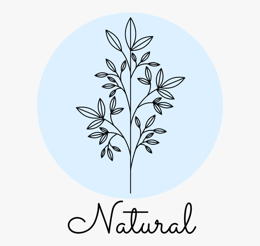 Floral Design, Transparent Clipart