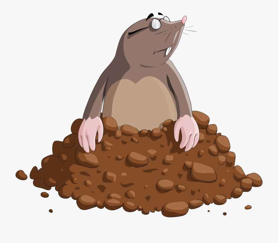 Mole Cartoon Png Clipart Image - Cartoon Mole No Background, Transparent Clipart