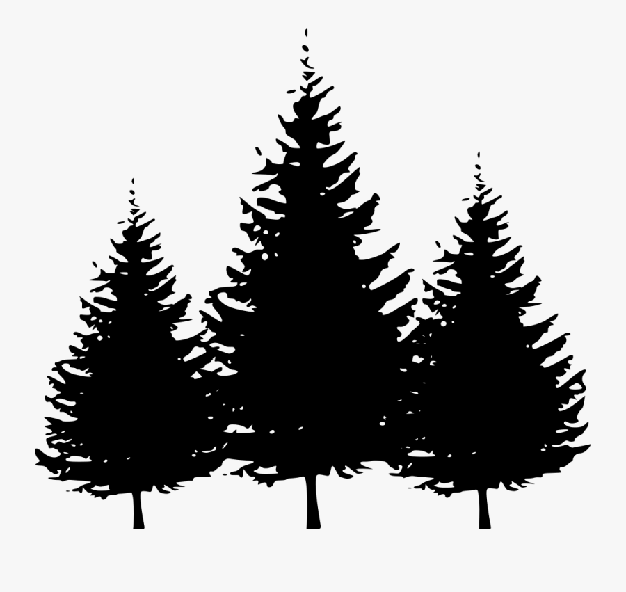 Transparent Fir Branch Png - Clipart Pine Trees Black And White , Free