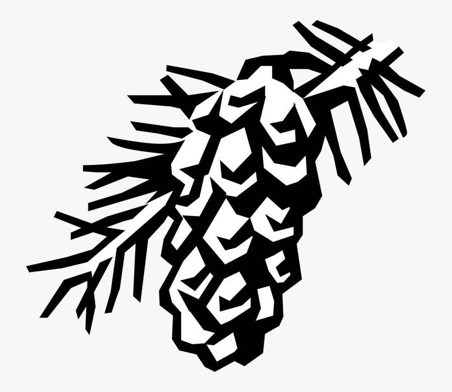 Vector Illustration Of Evergreen Spruce Bow With Conifer - Pine Cone, Transparent Clipart