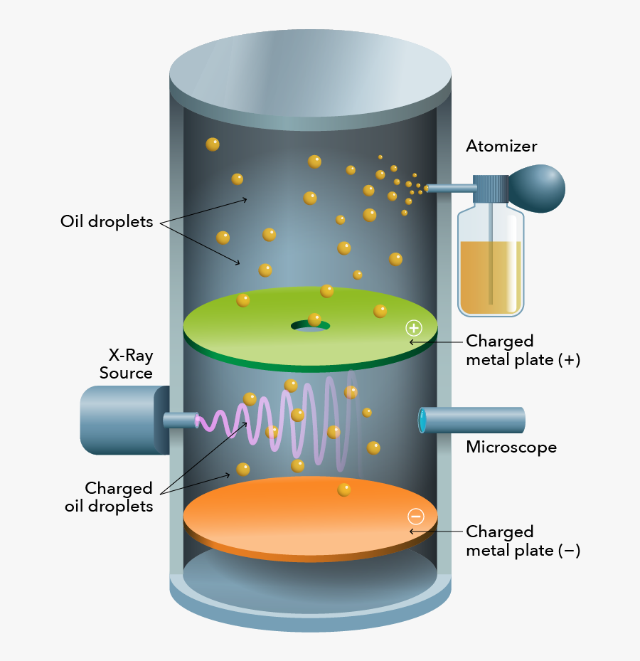Circle, Transparent Clipart