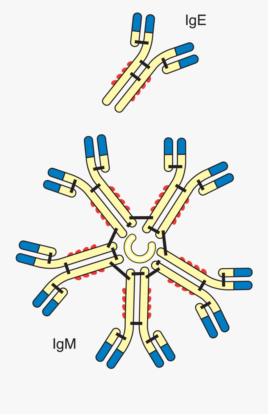 Illustration, Transparent Clipart