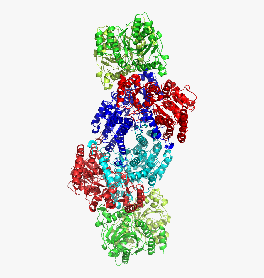 Nitrogenase - Enzima Nitrogenasa, Transparent Clipart