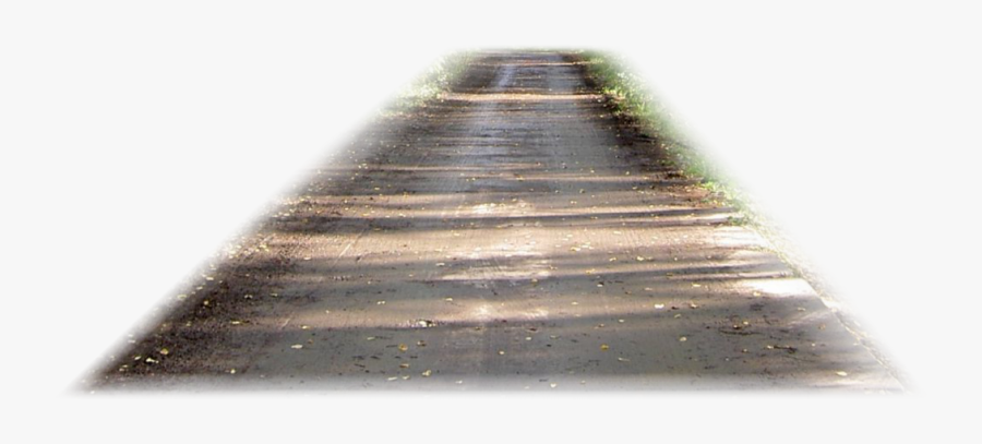 Forest With Road Png, Transparent Clipart