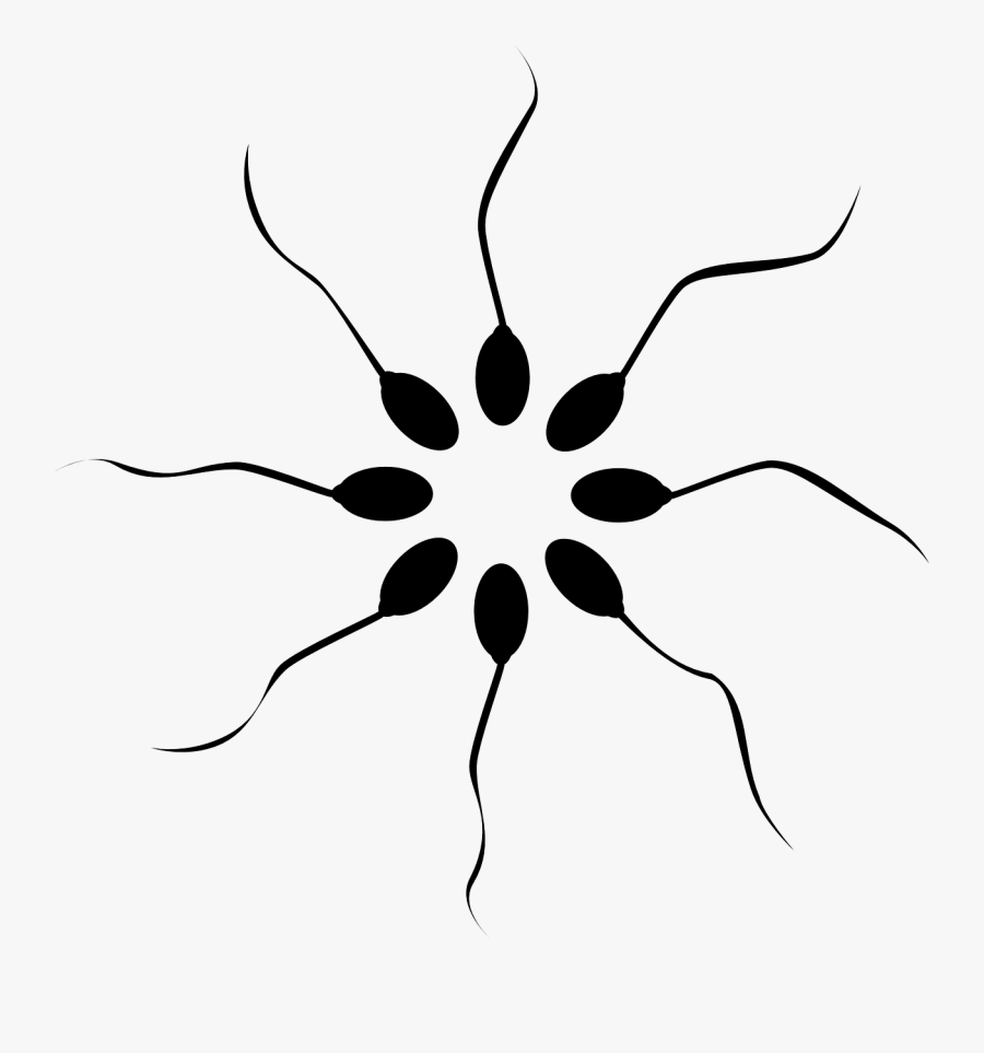 Sperm Png Transparent, Transparent Clipart