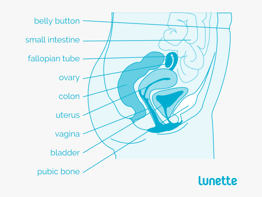 Clip Art A Handy Guide To - Graphic Design, Transparent Clipart