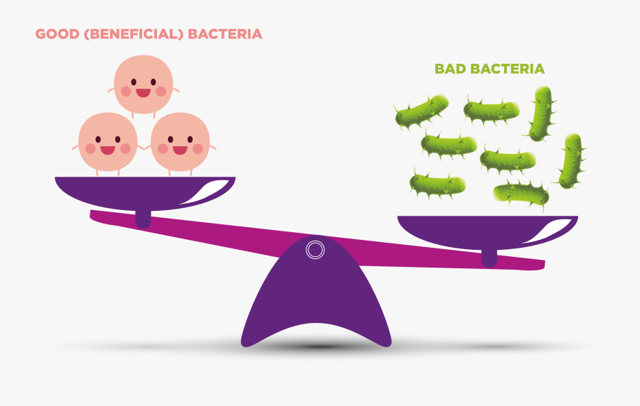 Good Bacteria Vs Bad Bacteria, Transparent Clipart