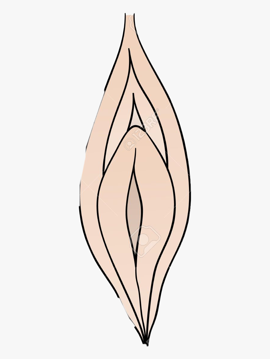 Vagina Freetoedit, Transparent Clipart