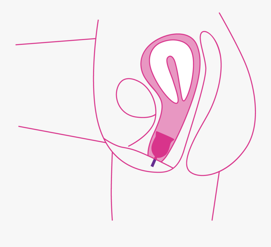Inserting A Period Cup Into Vagina - Does A Period Cup Go, Transparent Clipart