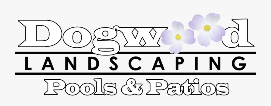 Image - Crocus, Transparent Clipart