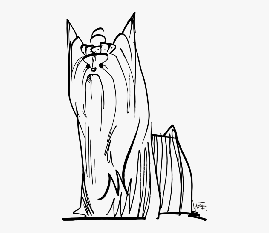 Collection Of Free Yorkie Drawing Sketch Download On - Line Art, Transparent Clipart