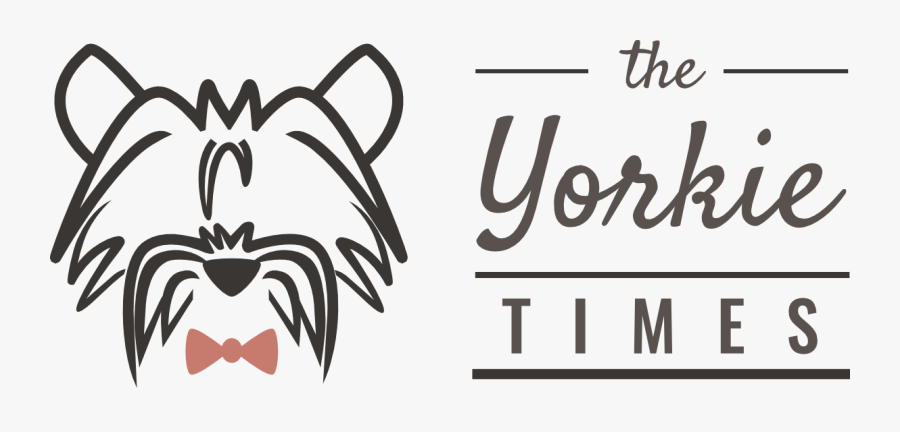 The Yorkie Times, Transparent Clipart