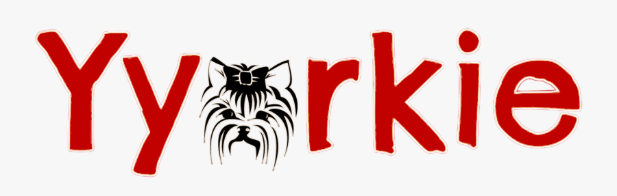 Yorkshire Terrier, Transparent Clipart
