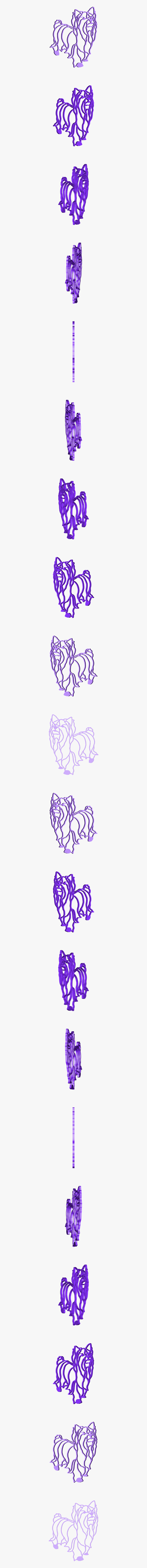 Yorkie Clip Art, Transparent Clipart