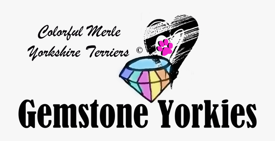 Graphic Design, Transparent Clipart