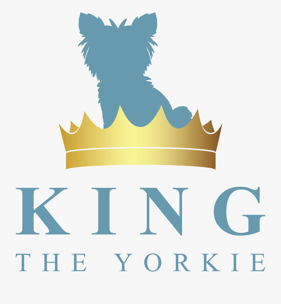 Graphic Design, Transparent Clipart