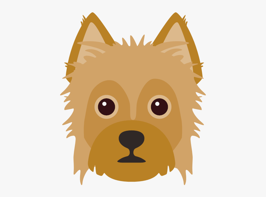 Dog Shakes Water Off, Transparent Clipart