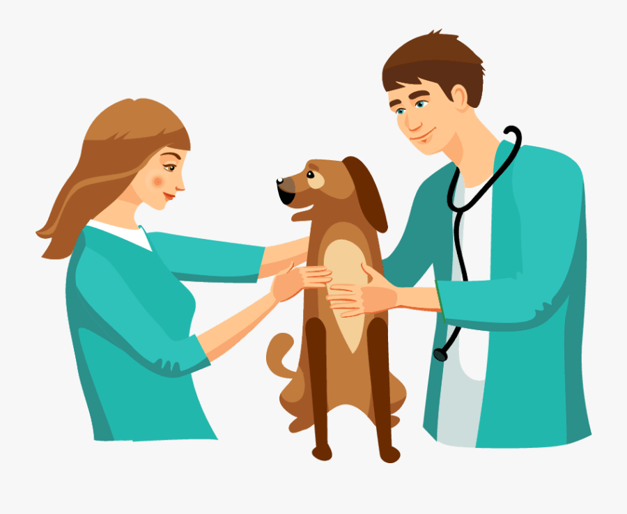 Diagnosis - Veterinary Doctor Illustration, Transparent Clipart