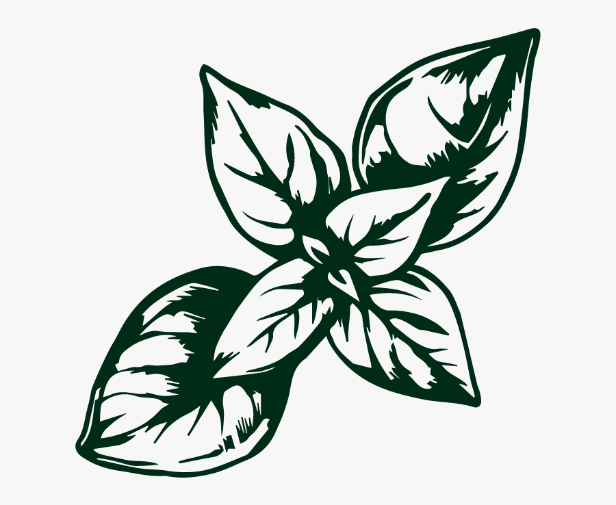 Picture - Illustration, Transparent Clipart