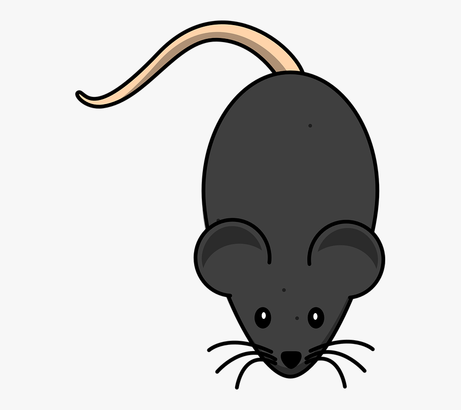 Transparent Rata Png - Cartoon Mouse Transparent Background, Transparent Clipart