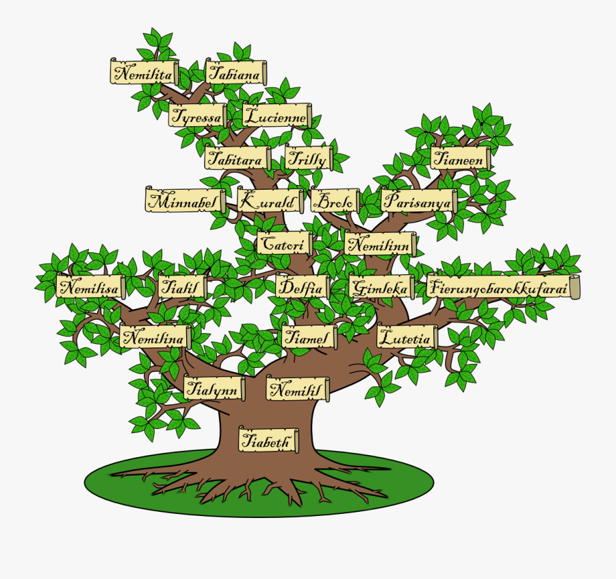 Family Transparent Tree Clipart, Transparent Clipart