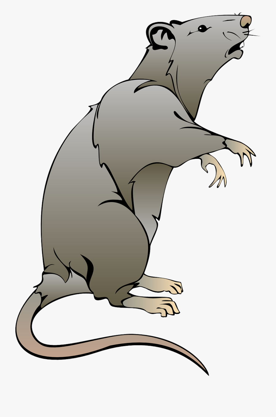 Rat Mouse Clip Art - Rat Clipart, Transparent Clipart