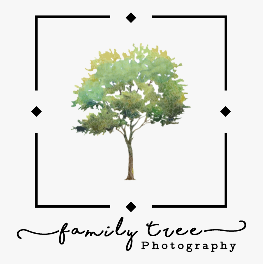 Family Tree Png - Watercolor Painting, Transparent Clipart