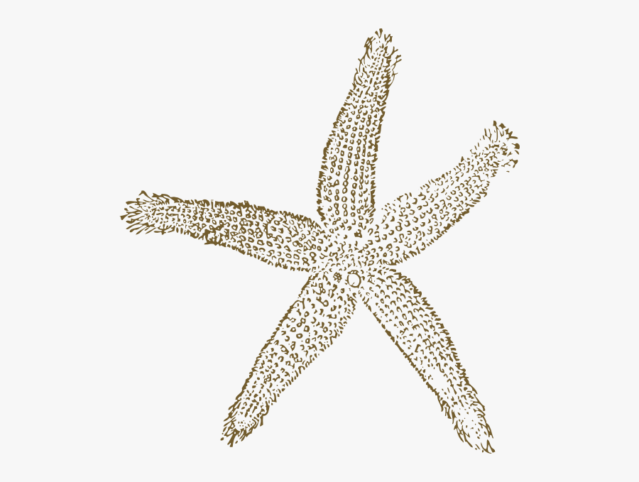 Metalic Golden Starfish For - Blue Sea Shell Clip Art, Transparent Clipart