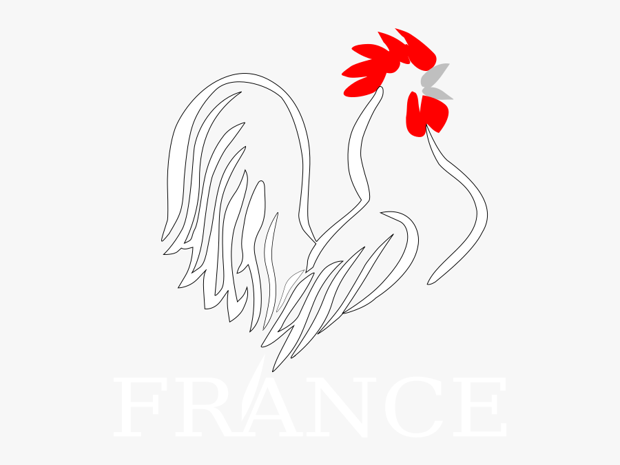 Rooster, Transparent Clipart